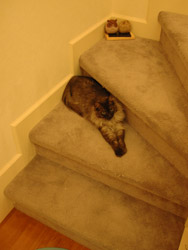 加藤様邸・土浦市