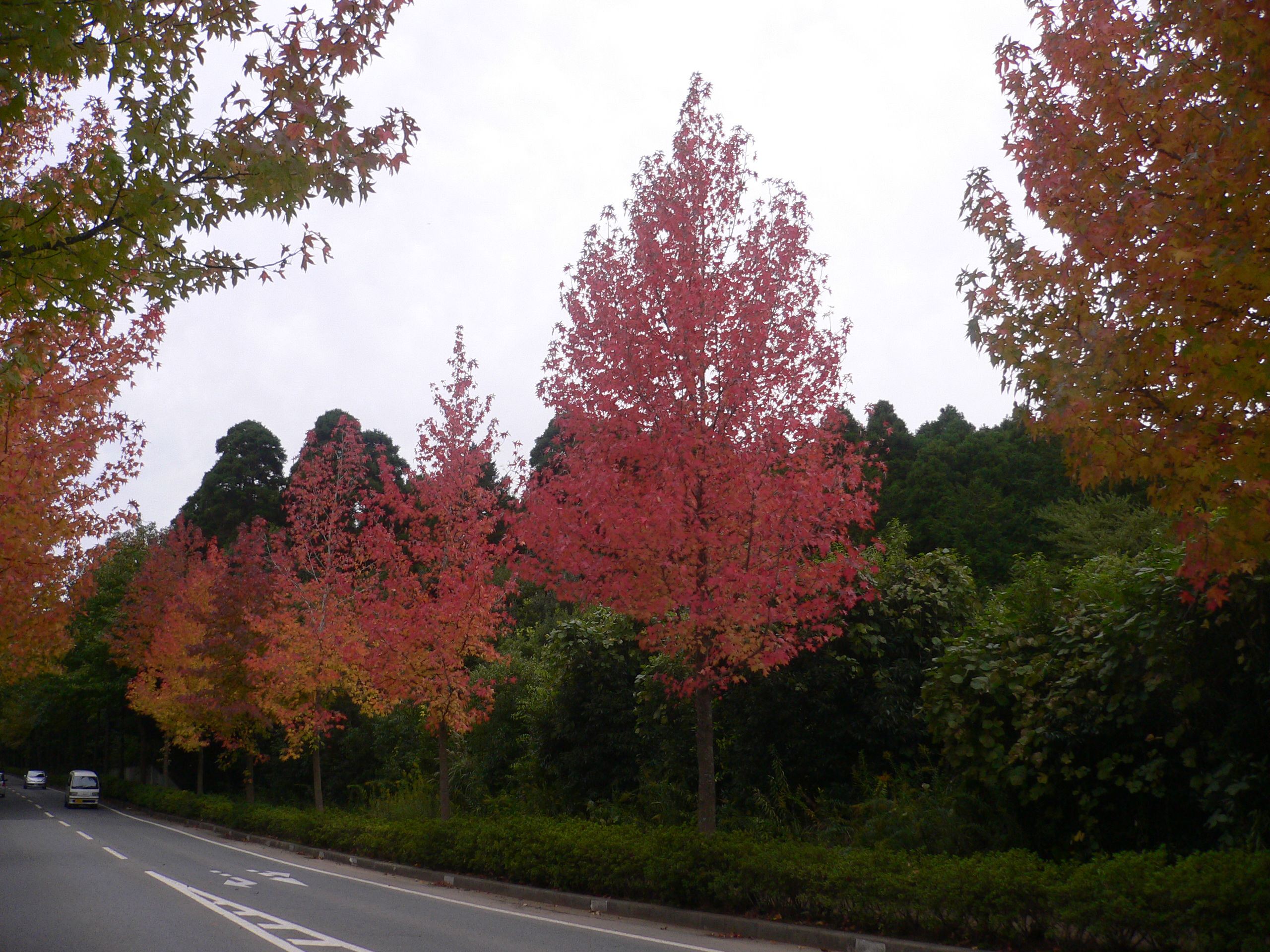 スタイル別施工実績