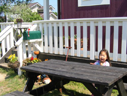 スタイル別施工実績